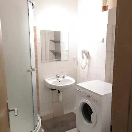 Silvestr