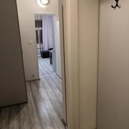 Apartament Silvestr