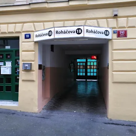 Silvestr *